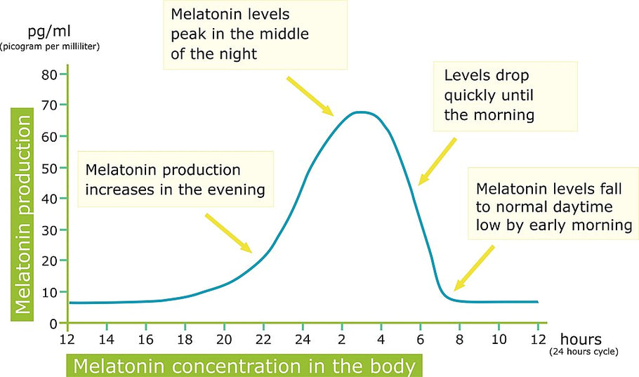 How melatonin works, and benefits of supplementation (part 1)